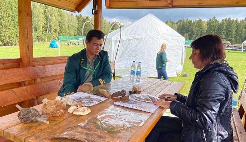 В Калужской области определили лучшего молодого лесника