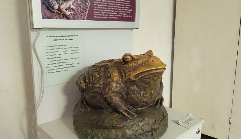 В Калужском краеведческом музее прошёл квест для детей