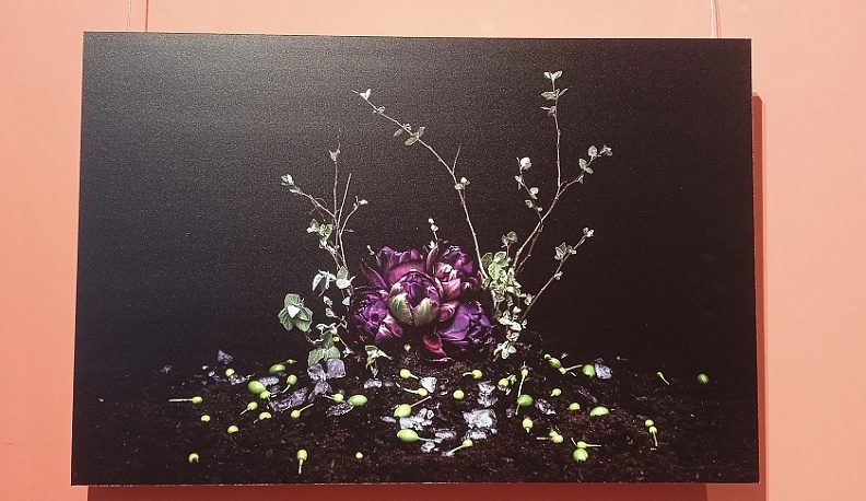 В Калужском музее изобразительных искусств открылась выставка «Молодые фотографы России»