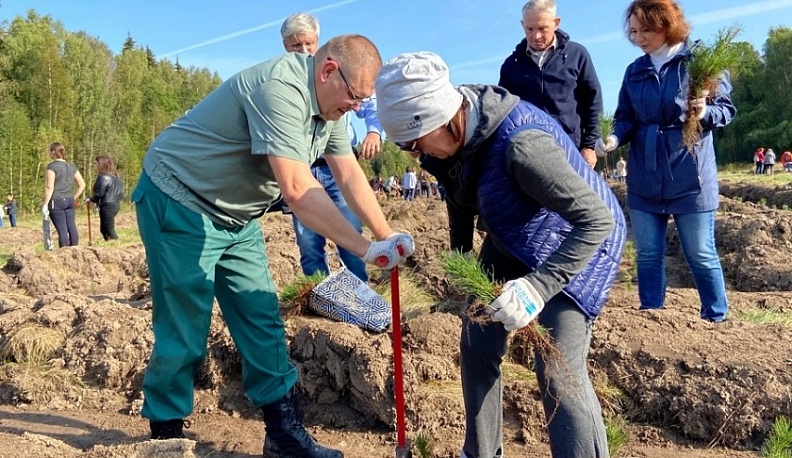 В Калужской области в конце лета стартует ежегодная акция «Сохраним лес»