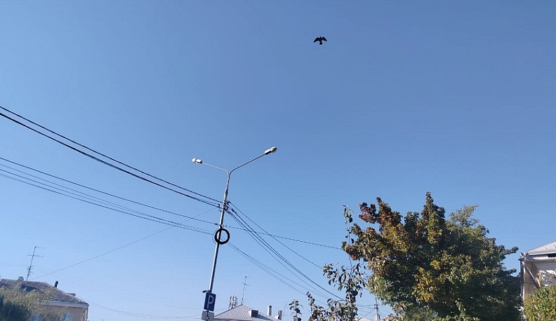 В Калугу постепенно приходит осенняя погода