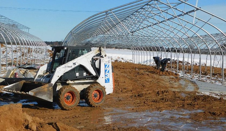 «Молочник» на ягодной поляне