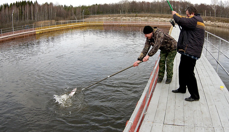 Рыбацкое счастье - на "трёх пескарях"