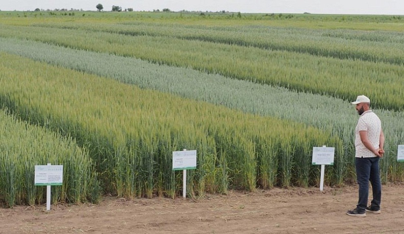 Калужан приглашают к участию в конкурсе грантов «Агростартап»