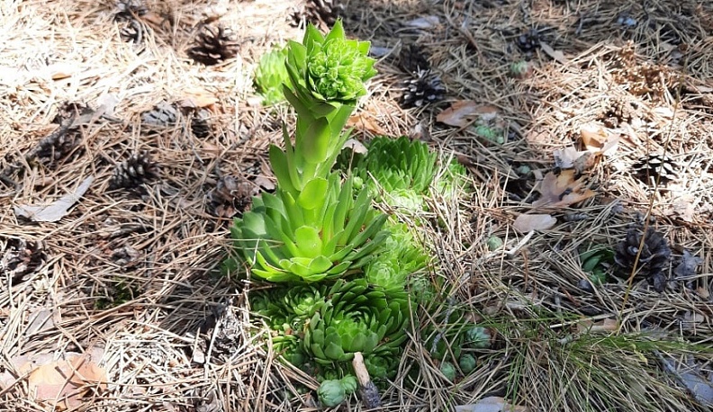 В Калужской области завершился экологический фотоконкурс