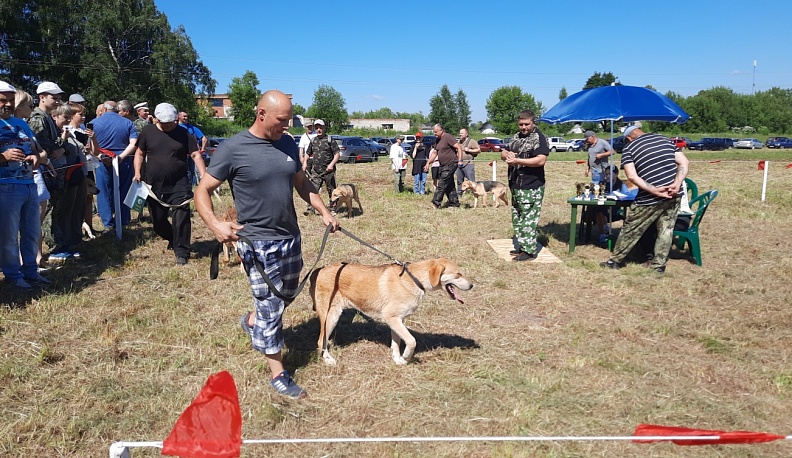 В Сухиничах собрались собаководы со всей Калужской области 