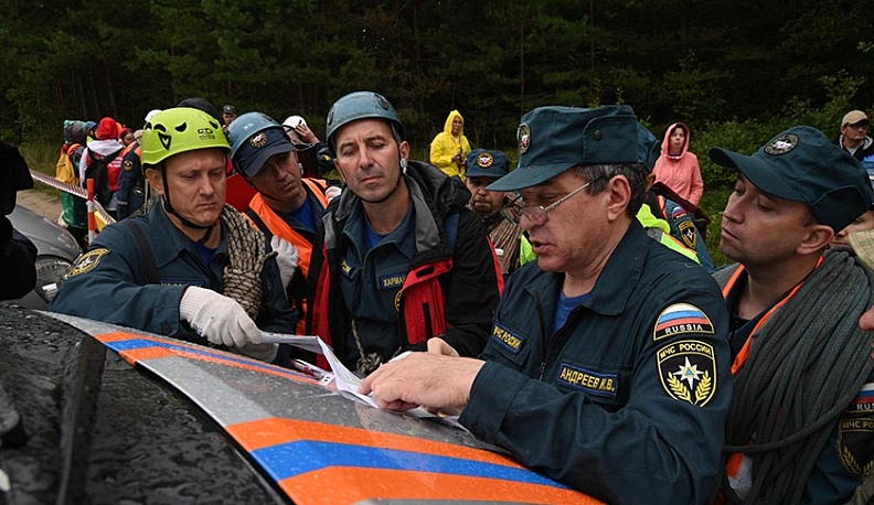 Идущие лесом