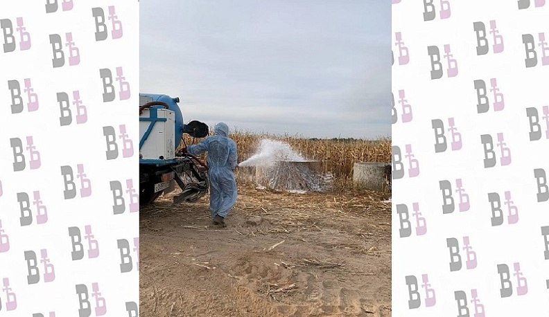 23 скотомогильника ликвидировано в Калужской области за 2024 год