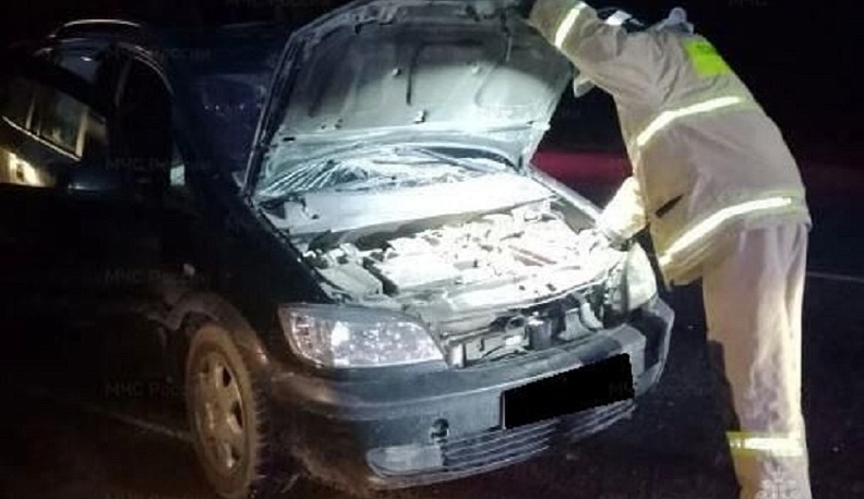 В Дзержинском округе легковой автомобиль сбил лося