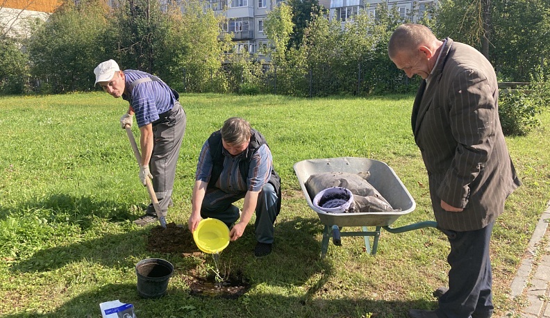 В Калужской области пенсионеры используют садоводство как терапию