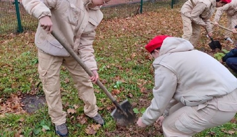 В память о героях СВО в Износковской школе высадили кусты сирени