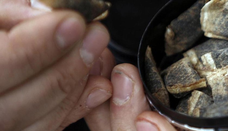 Губернатор согласился с ужесточением мер против употребления детьми снюсов