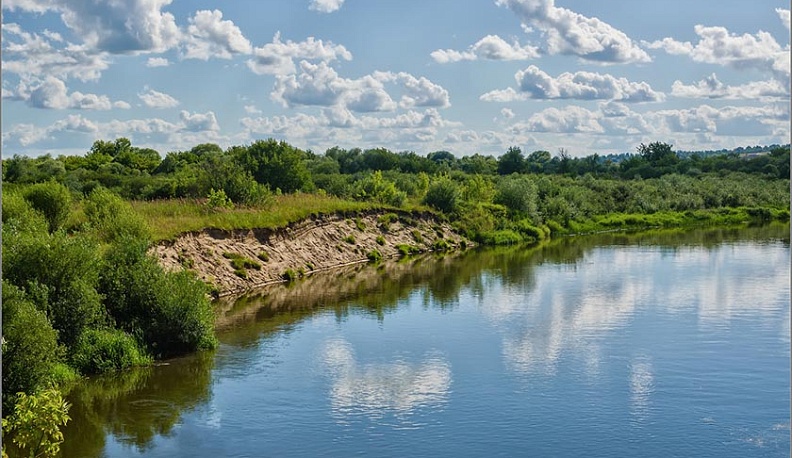 Дубрава в пойме Жиздры в Думиничском районе вдвое увеличила площадь 