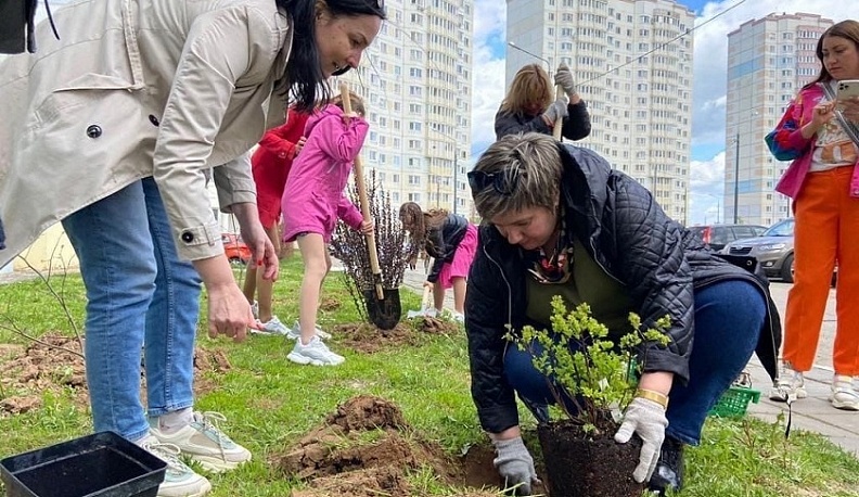 Более 280 тысяч деревьев высадили в Калужской области в рамках акции «Сад памяти»