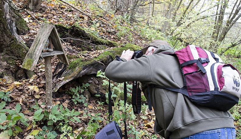 Хождение за синь-камнем