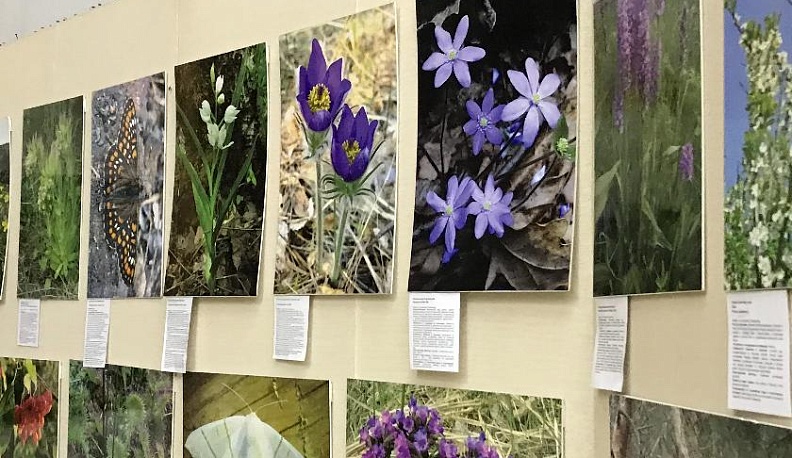 Живая планета Земля