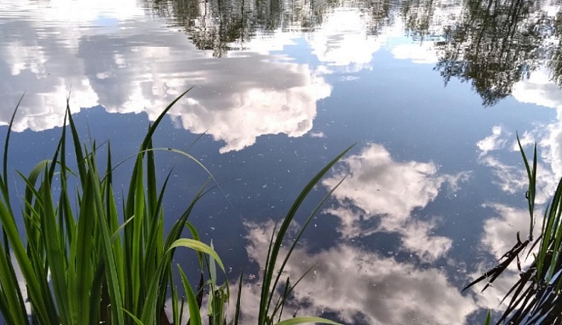 В Калуге утонул 17-летний подросток