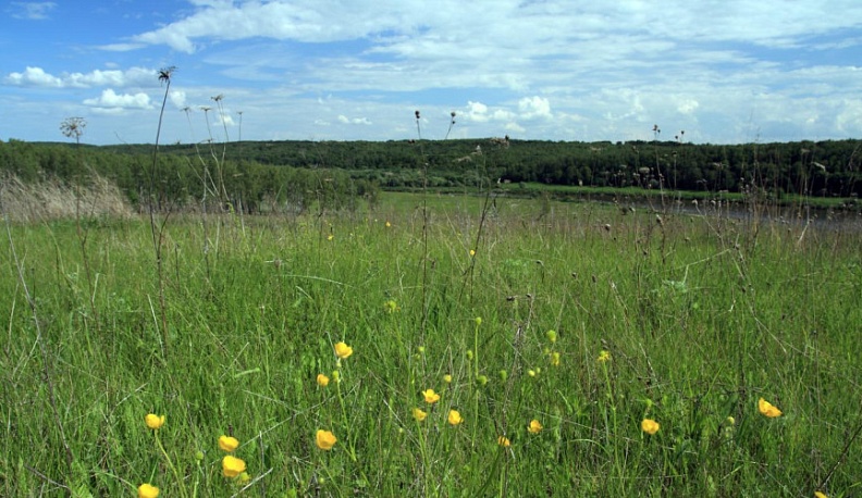 Жителей Калужской области приглашают к участию в конкурсе Международной экологической Премии «ЭкоМир»