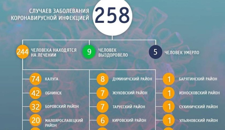 В Калужской области по-прежнему 258 случаев заболевания коронавирусной инфекцией