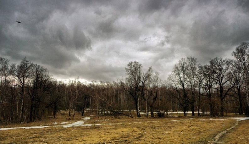 Сегодня в Калуге будет пасмурно, но тепло
