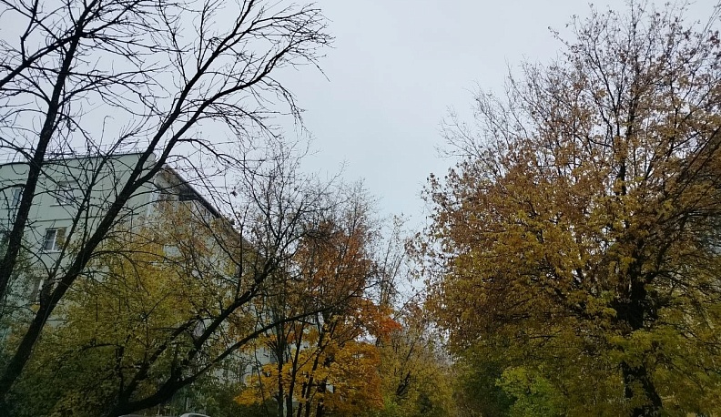 В Калуге слегка потеплело 