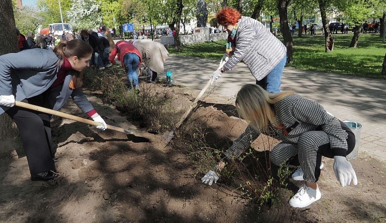 В Калуге высадили спиреи в рамках акции «Сад Памяти»