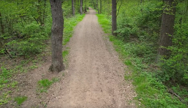 Калужане могут прогуляться по новой экотропе в Боровске