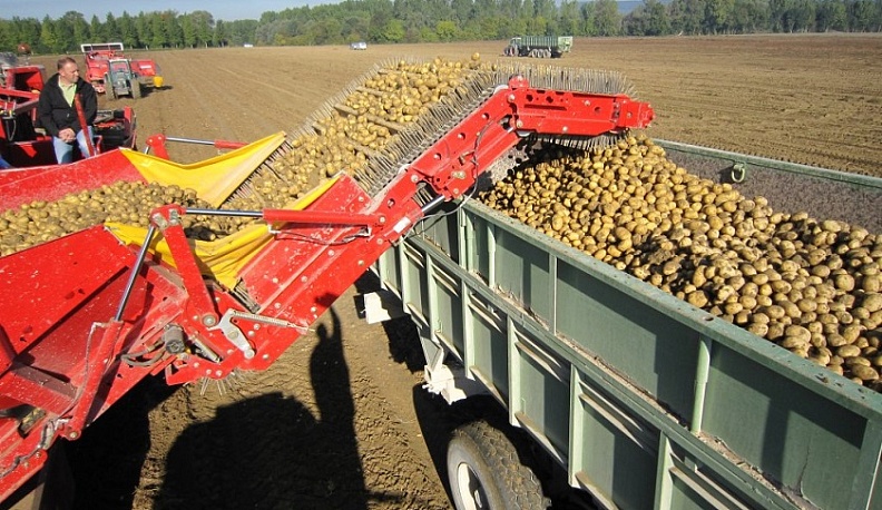 Калужские аграрии подвели итоги уборочной страды