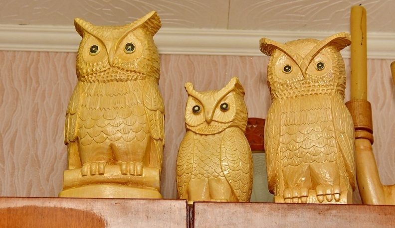 Солнечное дерево