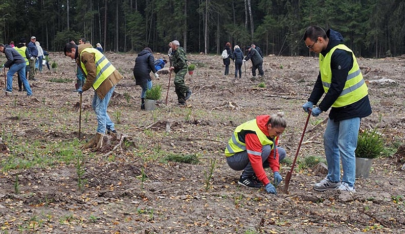 В Калужской области Российские дни леса калужане встретили с мечом Колесова 