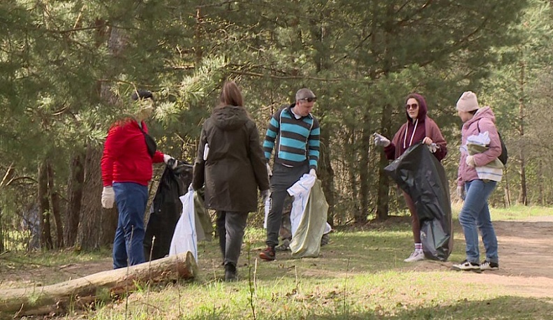 Калужане убрались в бору