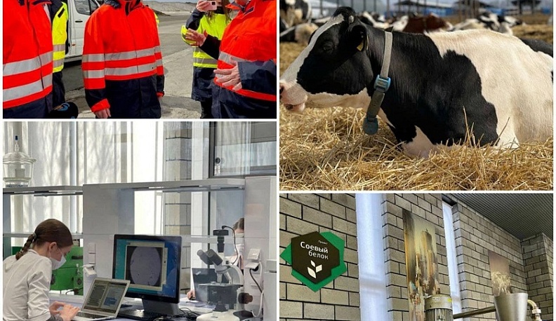 Владислав Шапша рассказал об опыте работы лидеров молочного животноводства Белгородской области