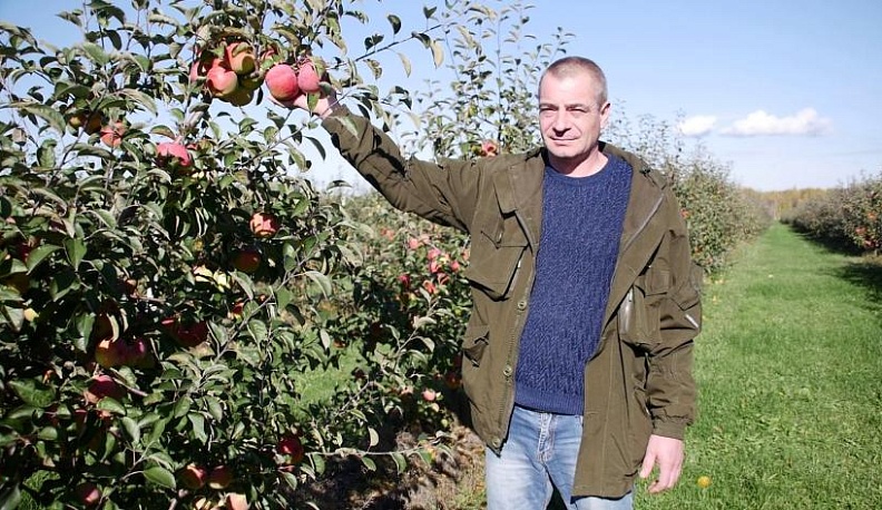 Наливные, краснобокие, свои