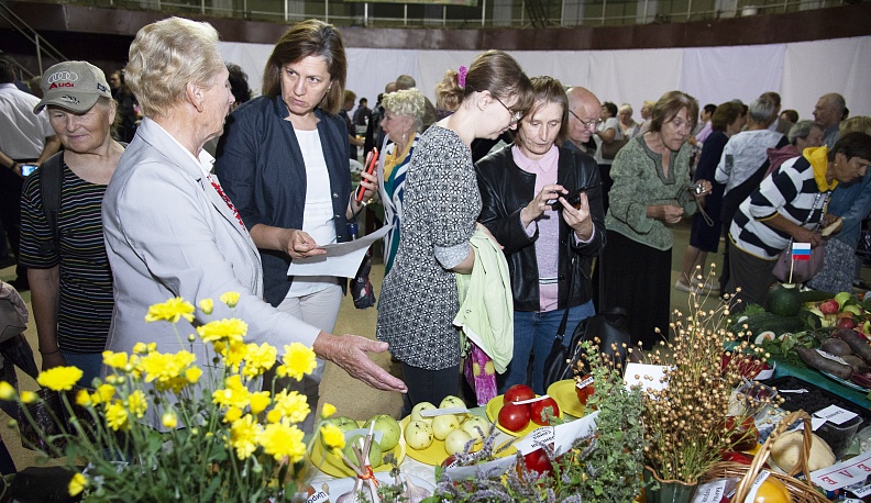 В калужском Доме народного творчества и кино «Центральный» открылась выставка даров сада и огорода