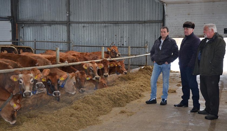 Настрой на вырост