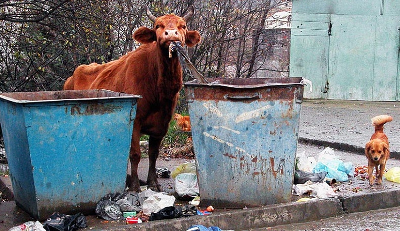 Калужские сельчане смогут экономить природные ресурсы и свои деньги