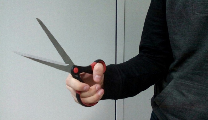 В Козельском районе полицейские задержали грабителя с ножницами