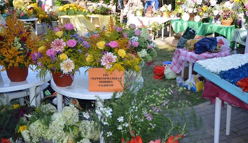 В Калуге прошла выставка достижений цветоводов