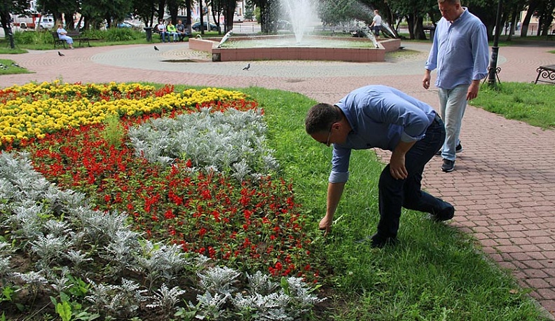 В сквере Ленина в Калуге к Дню города окосят траву
