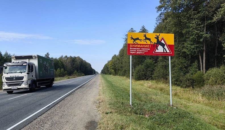 Калужских водителей предупреждают о начале активной миграции лосей