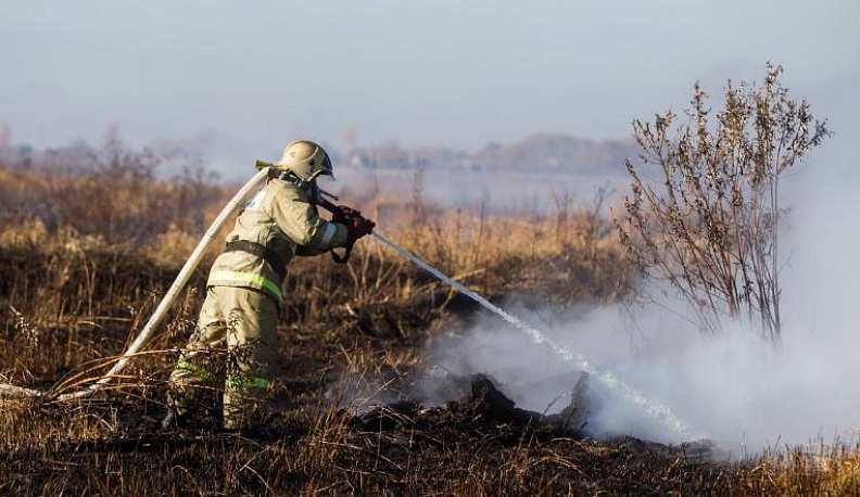 Дым Отечества