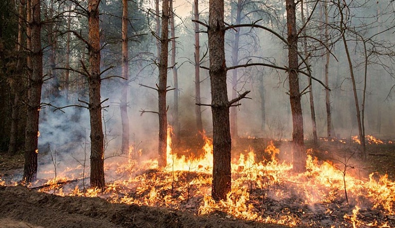 Метеорологи обещают Калужской области пожароопасную осень