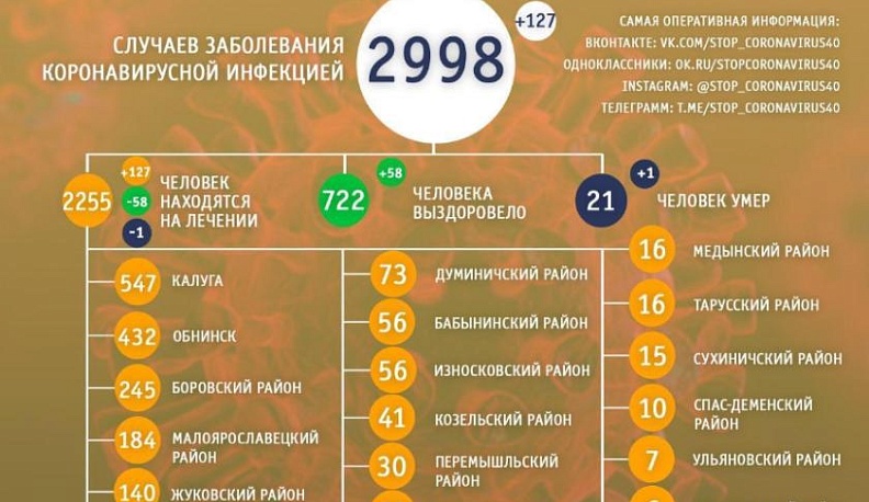 В Калужской области от коронавируса лечатся 2255 человек 