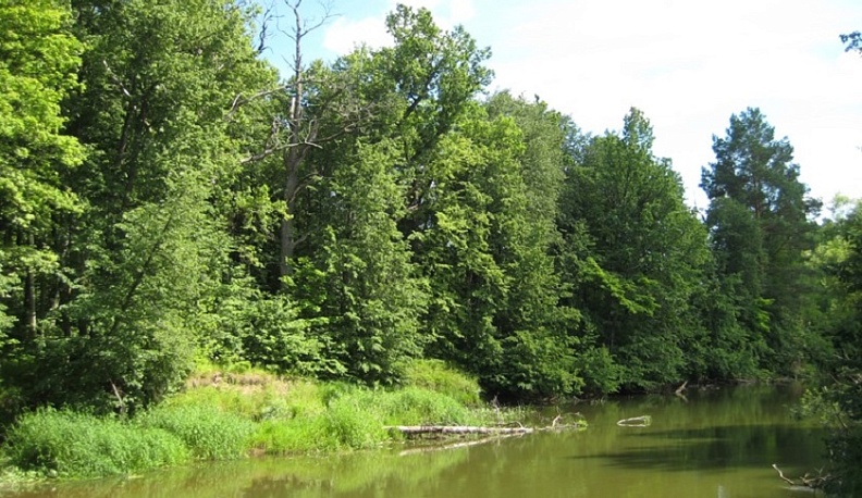 В два раза увеличилась площадь памятника природы в Думиничском районе