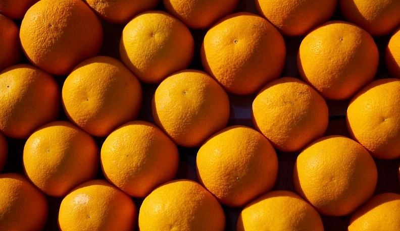 В Калужской области задержали 20 тонн турецких апельсинов с личинками