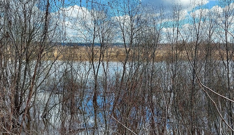 Под Козельском с марта ищут 80-летнего рыбака