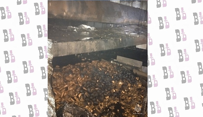 В Боровске загорелся цех