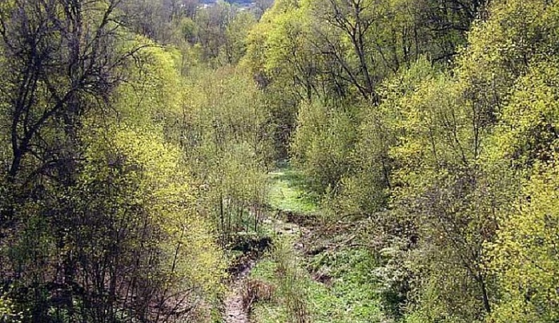 В Калуге не будут глобально благоустраивать Березуйский овраг