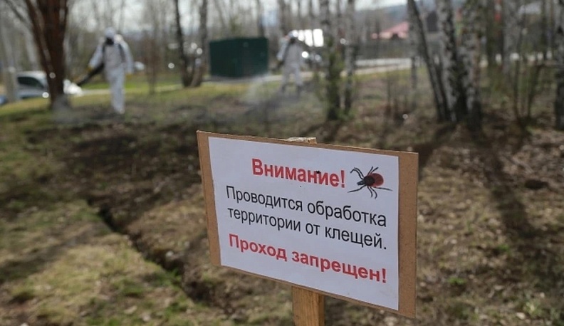 В Калуге пришкольные территории обработали от клещей
