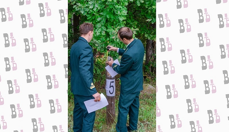 В Калужской области пройдет конкурс профмастерства среди молодых специалистов лесной отрасли